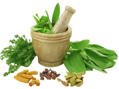ayurvedic-medicines-500×500-removebg-preview ayurvedic-medicines-500x500-removebg-preview